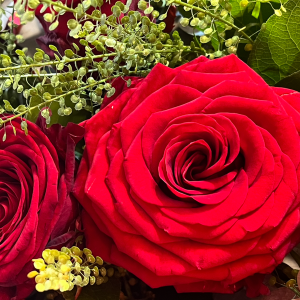 Pure Passion- Luxurious Naomi Red Roses – Devine Flowers