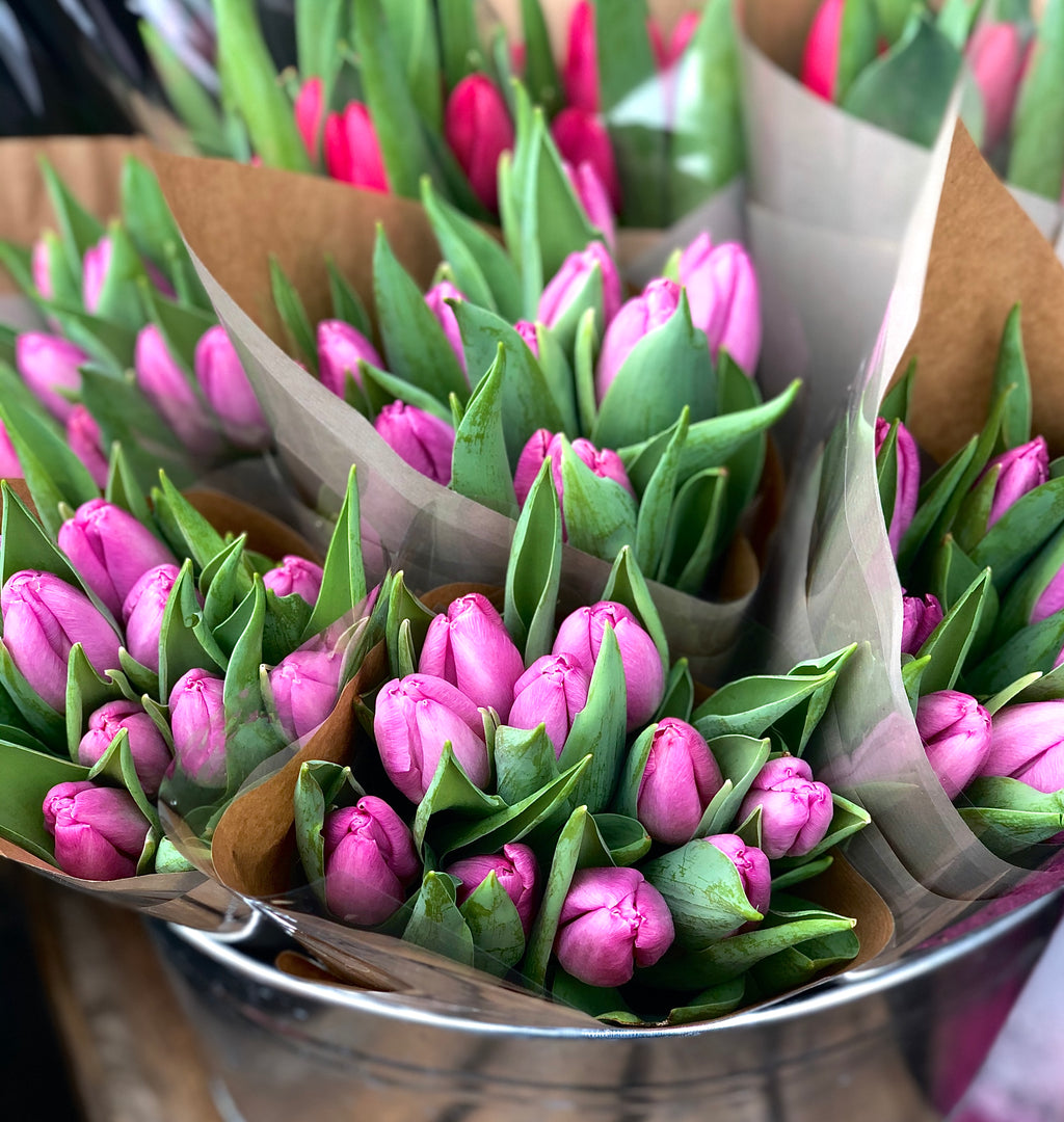A beautiful hand tied bouquet of pink tulips with eucalyptus foliage. Presented in an aqua-pack and gift bag. 