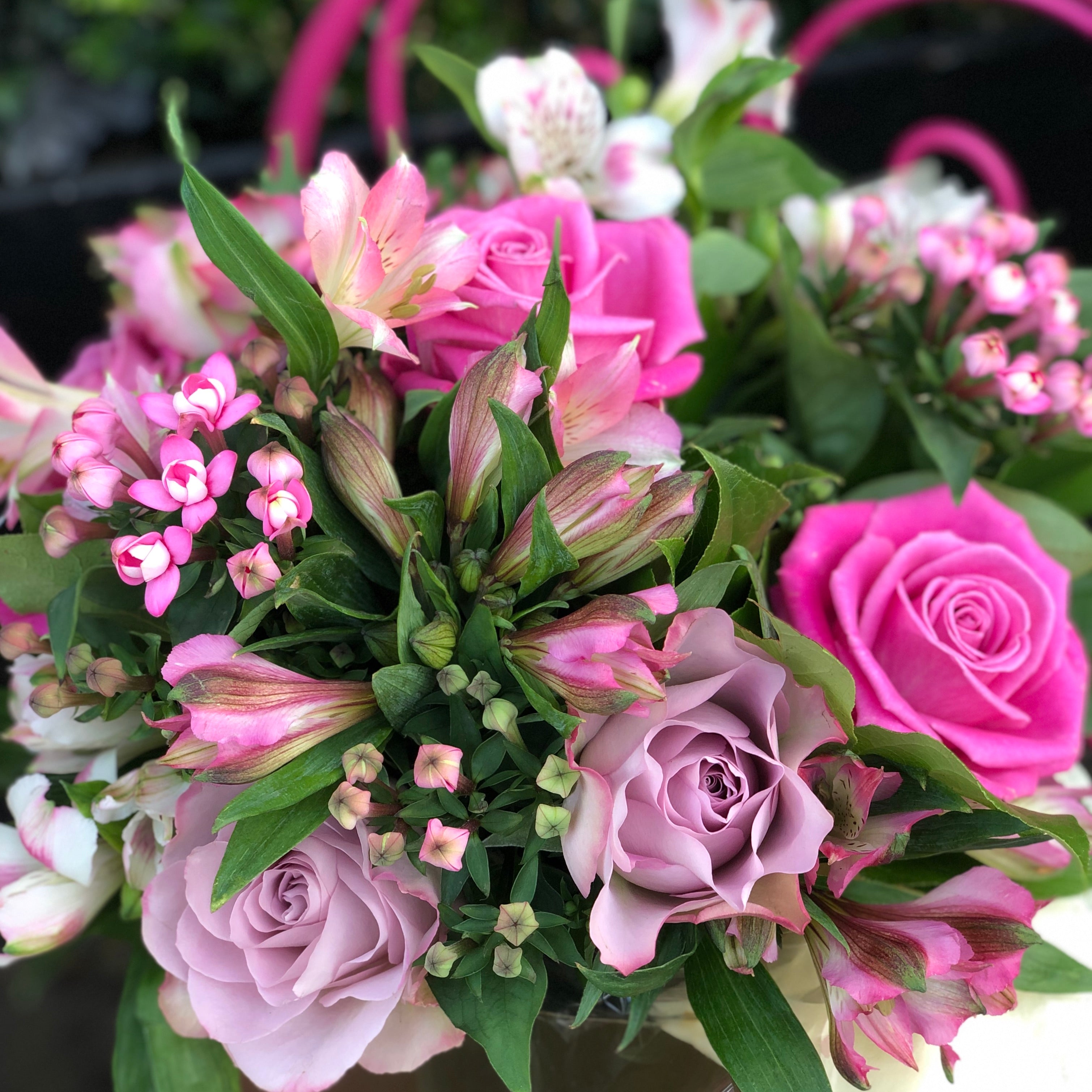 A hand-tied bouquet of dusky and rich pink roses, pink bouvardia and alstromeria flowers, which is presented in an aqua-packed gift bag with tissue paper.