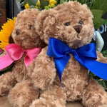 Cuddles Teddy Bear