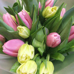 Sweet Treat Tulip Bouquet