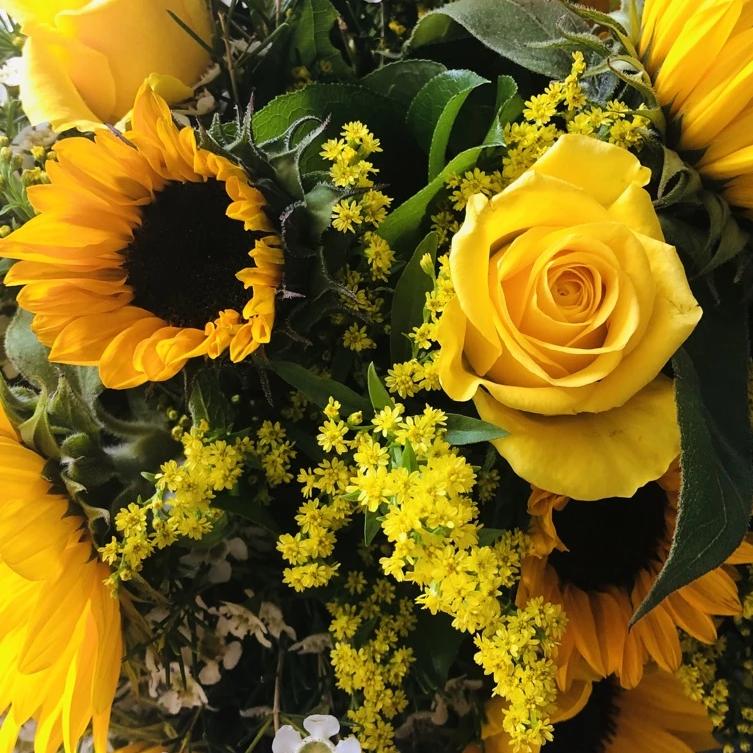 A bright bouquet of sunflowers, yellow roses, wax flower, and Solidago.  Aqua-packed and presented in a gift bag.